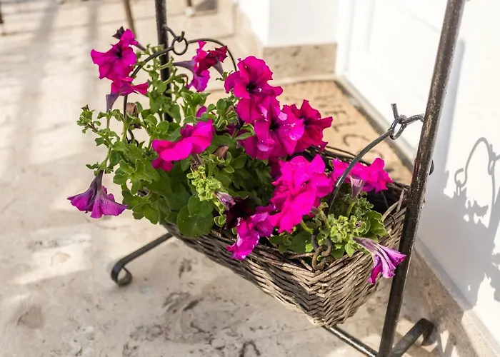 Ivka شقة باشْكا