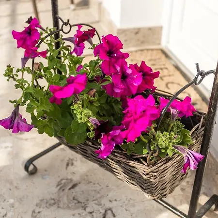 Ivka Lägenhet Baška